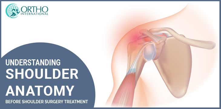 Understanding Shoulder Anatomy Before Shoulder Surgery Treatment